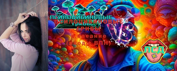 стаф Фурманов