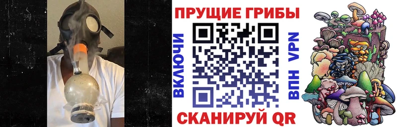 Псилоцибиновые грибы Psilocybine cubensis  Купить где  Свирск 
